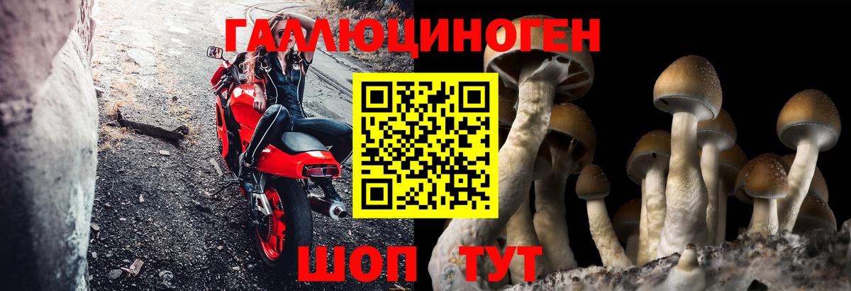 Кемерово  Галлюциногенные грибы MAGIC MUSHROOMS  Вход с VPN 
